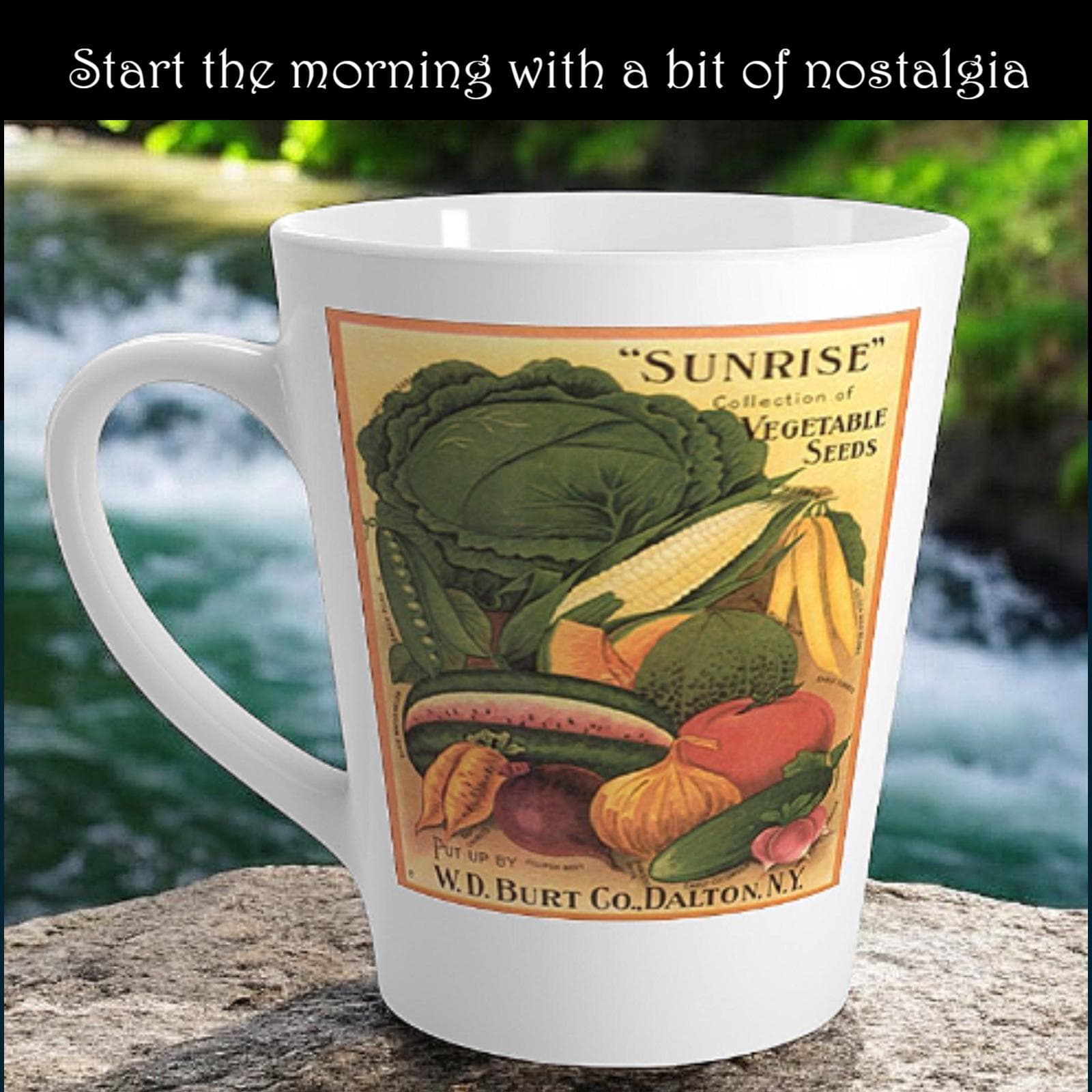 Vegetable Seeds Latte Mug - Garden Lover Gift, 12oz
