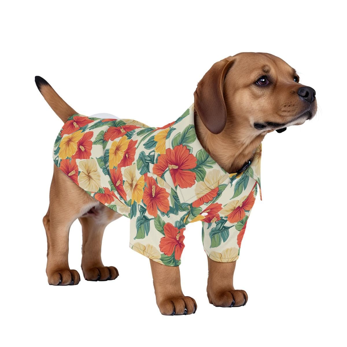 Aloha Pup Hawaiian Shirt for Dogs & Cats | Tropical Pet Beach Outfit