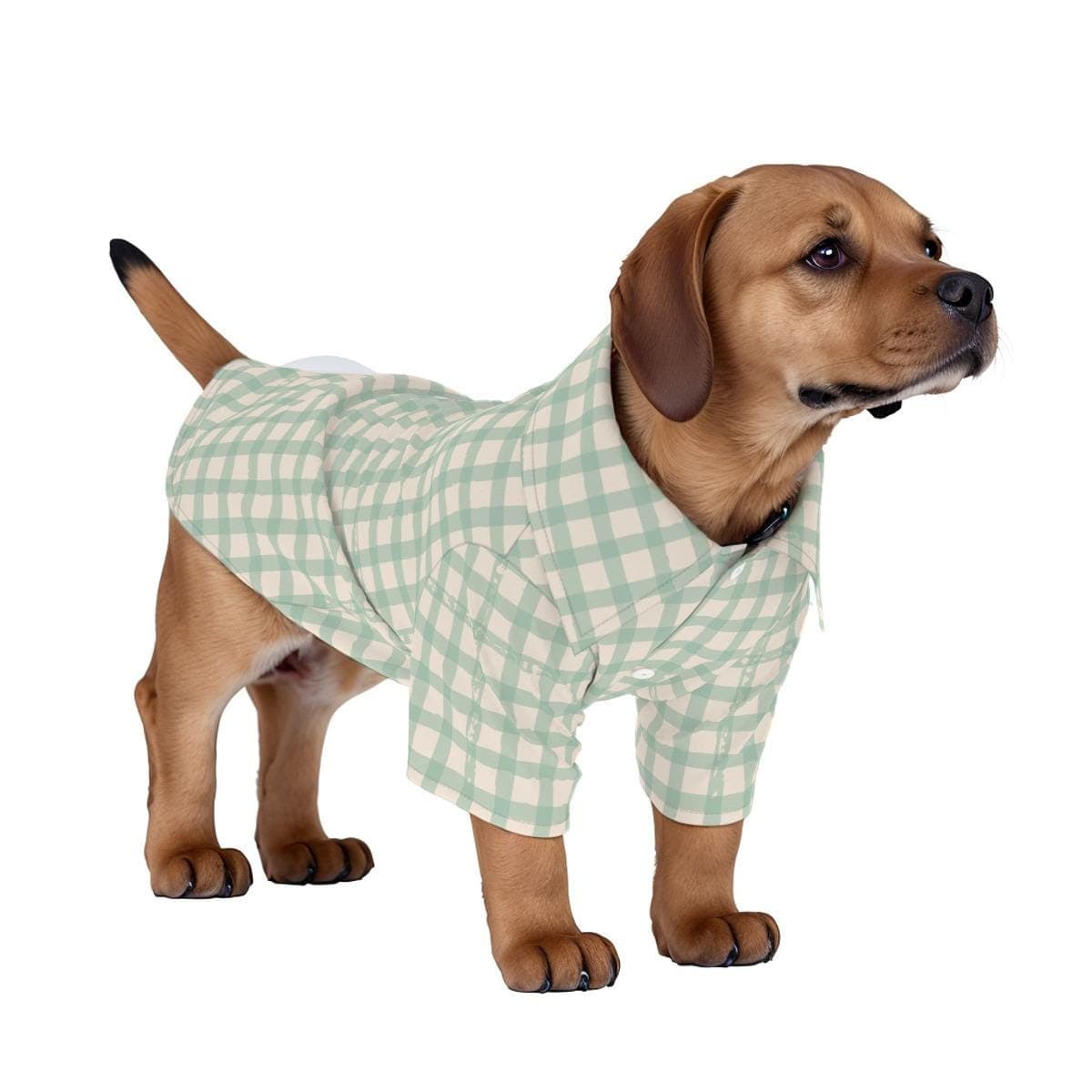 Pet Hawaiian Shirt | Dog Cat Cute Breathable Four-Way Stretch
