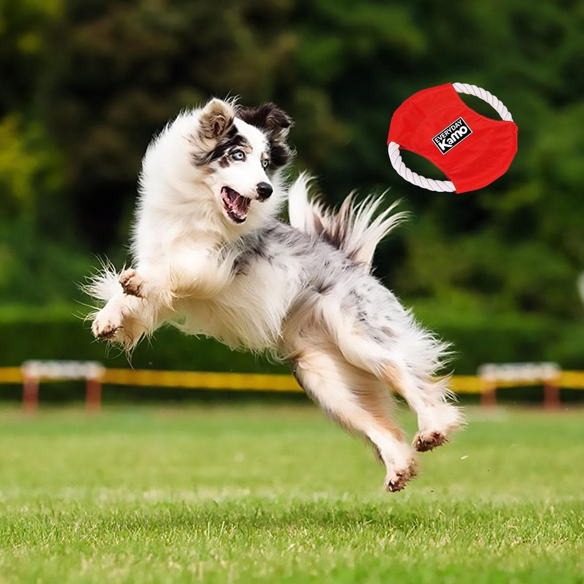 Everyday Kamo Adventure Dog Frisbee | Durable Floating Fetch Toy | Waterproof & Bite-Resistant Pet Play